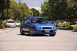 Official BLUE Subaru Gallery-image-826197336.jpg
