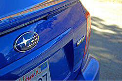 Official BLUE Subaru Gallery-image-1686395174.jpg