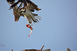 Using the App Parse Error-image-2744060089.jpg