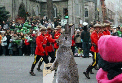 Name:  canada.gif
Views: 11
Size:  1.61 MB