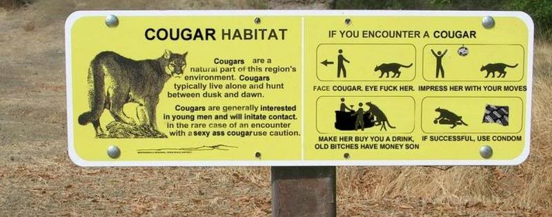 Name:  untitled-3.jpg
Views: 19
Size:  55.8 KB