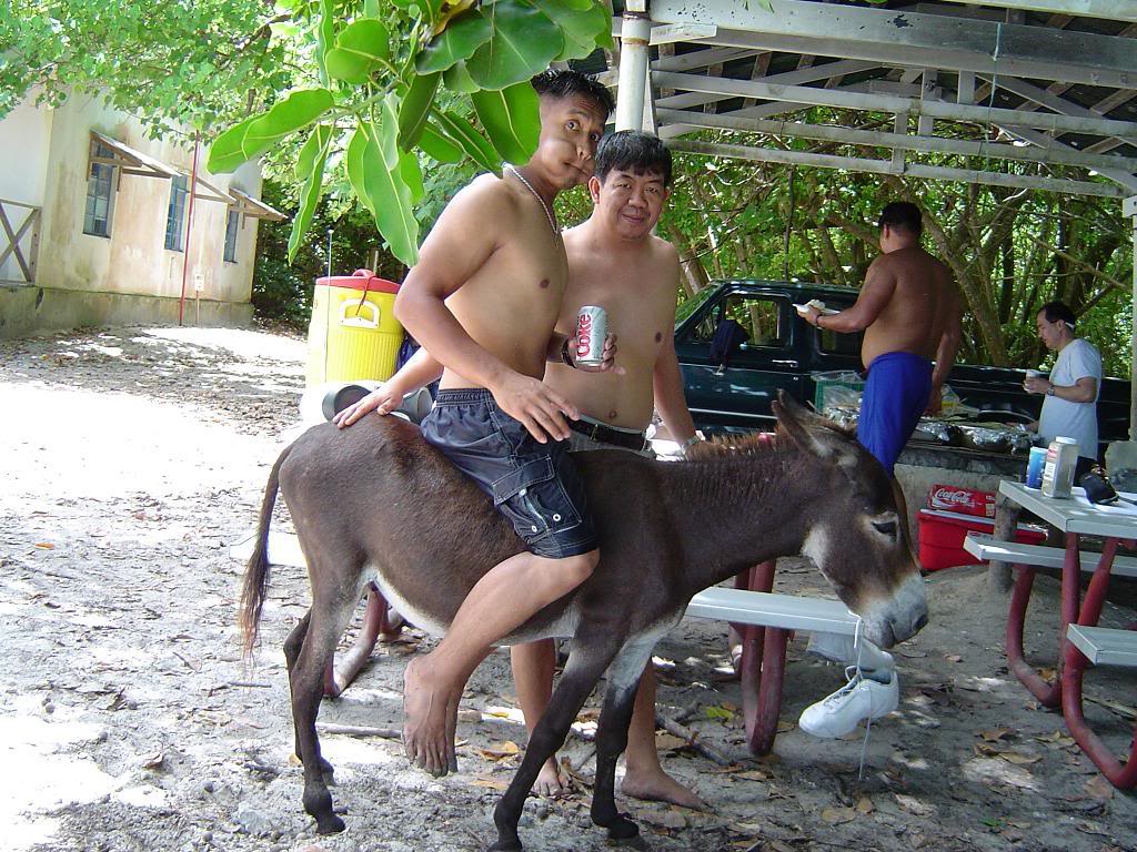 Name:  DSC00267.jpg
Views: 19
Size:  191.5 KB