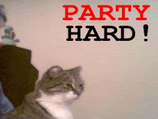 Name:  1171365073-Partyhard_cat1.gif
Views: 2
Size:  61.0 KB