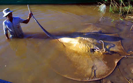 Name:  7_461.jpg
Views: 60
Size:  26.7 KB