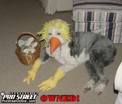 Name:  dogowned.jpg
Views: 17
Size:  23.5 KB