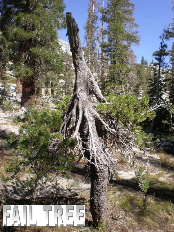 Name:  P9070330.jpg
Views: 18
Size:  120.9 KB