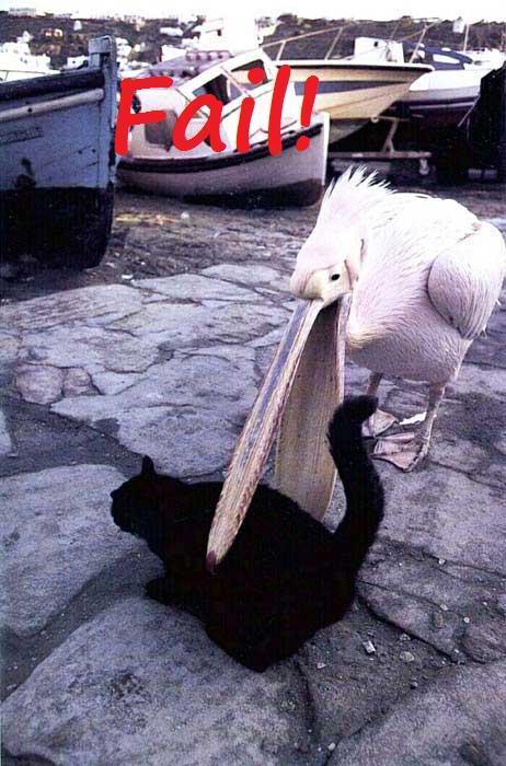 Name:  fail1pt1.jpg
Views: 18
Size:  66.1 KB