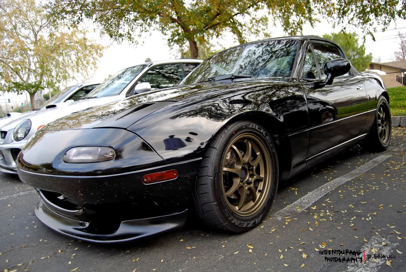 Name:  DSC_0033-5.jpg
Views: 18
Size:  150.6 KB