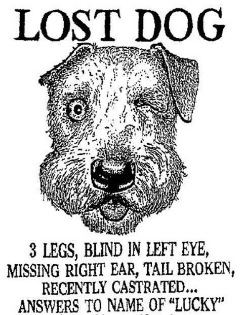 Name:  lostdog.jpg
Views: 19
Size:  92.2 KB