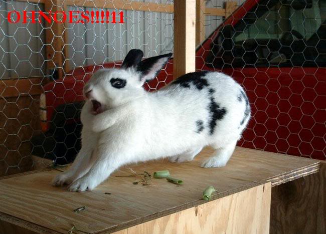Name:  ohnoes.jpg
Views: 24
Size:  49.4 KB
