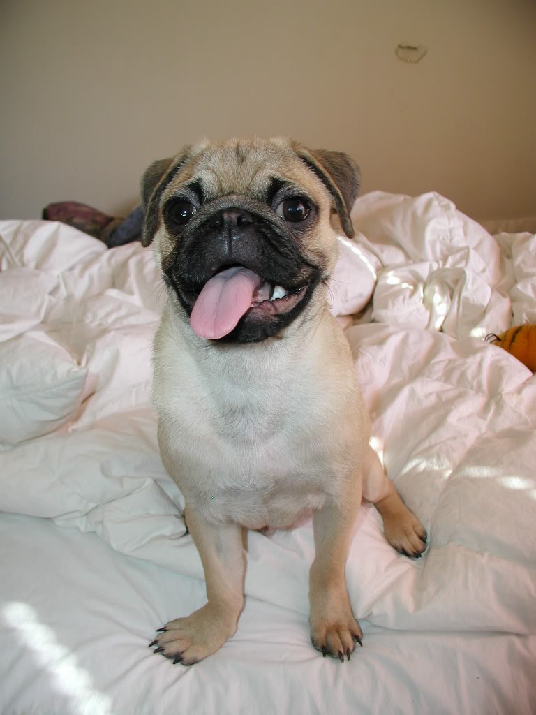 Name:  P1180022.jpg
Views: 15
Size:  84.7 KB