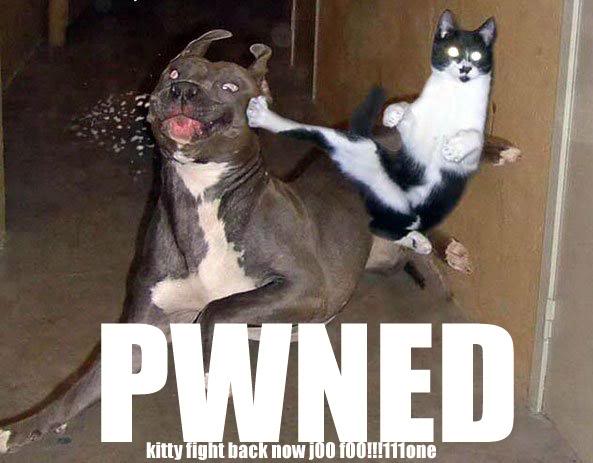 Name:  Pwned.jpg
Views: 12
Size:  38.8 KB