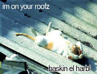 Name:  harbl05.jpg
Views: 7
Size:  31.2 KB