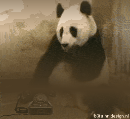 Name:  beta239.gif
Views: 9
Size:  248.7 KB