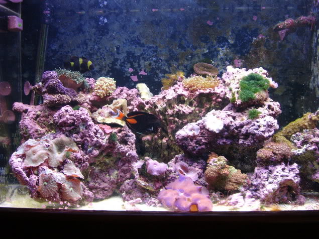 Name:  DSC00018.jpg
Views: 18
Size:  94.2 KB