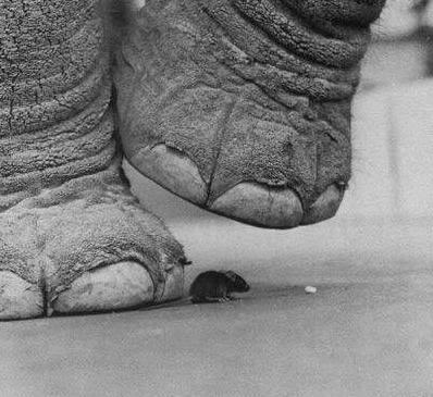 Name:  AFP324.jpg
Views: 14
Size:  29.2 KB