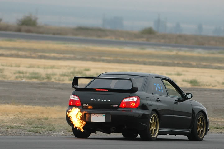 Name:  DSC_0072.jpg
Views: 19
Size:  45.4 KB