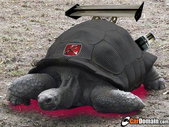 Name:  a09b81q12.jpg
Views: 23
Size:  67.1 KB