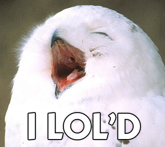 Name:  lolowl.jpg
Views: 12
Size:  36.2 KB