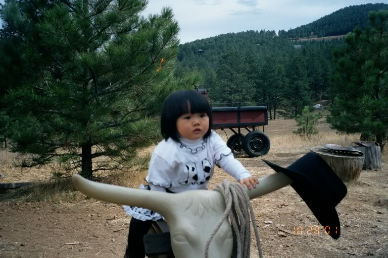 Name:  Bull20Riding.jpg
Views: 14
Size:  105.4 KB