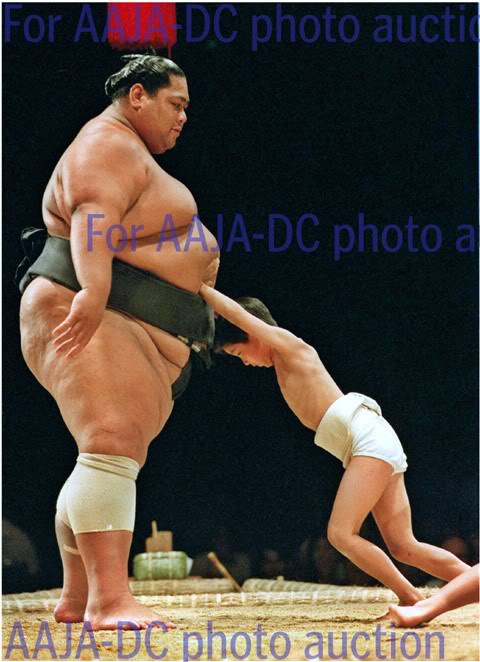 Name:  sumo.jpg
Views: 43
Size:  62.9 KB