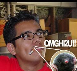 Name:  soggy-mole1.jpg
Views: 11
Size:  12.5 KB