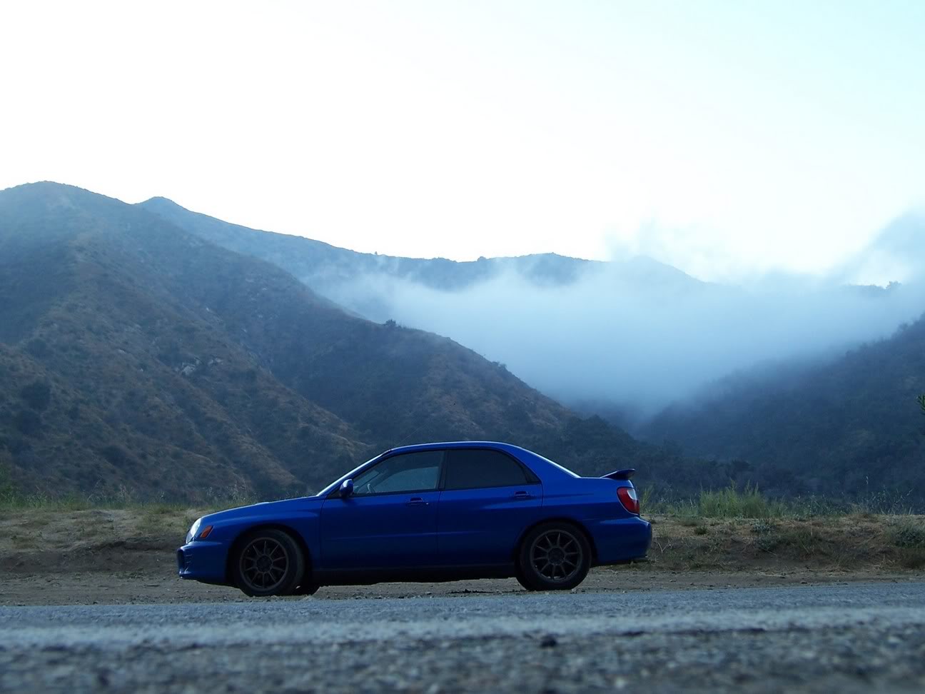 Name:  100_0839.jpg
Views: 5
Size:  95.5 KB