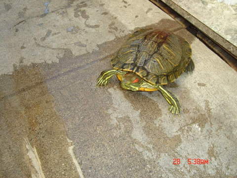 Name:  DSC00451.jpg
Views: 24
Size:  31.2 KB