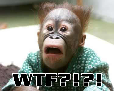Name:  wtfmonkey2pq.jpg
Views: 13
Size:  19.9 KB