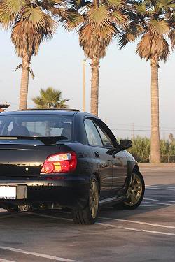 Name:  IMG_0943-a.jpg
Views: 16
Size:  21.7 KB