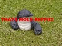 Name:  givemole.jpg
Views: 20
Size:  10.9 KB