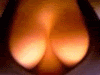 Name:  12893.gif
Views: 13
Size:  40.9 KB