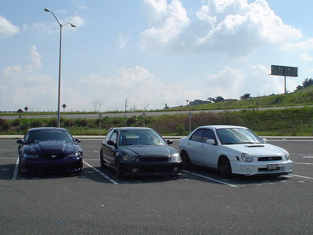Name:  DSC02477.jpg
Views: 14
Size:  51.5 KB