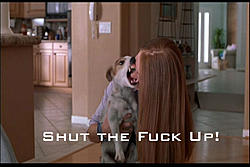 bwahahha i think i pissed off a suby member.-stfu-2.jpg