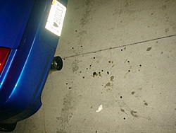 How was Rife Praza?-dsc00326.jpg