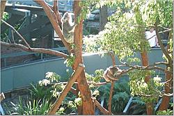 The WOW look at this thread-sydney_52.jpg