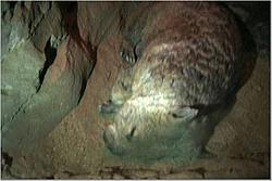 The WOW look at this thread-sydney_c22.jpg