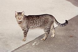 Please put a pic to a name-023_12.jpg