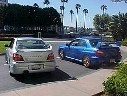 Look What I Ran Into-mvc-028s.jpg