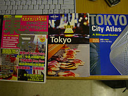 Will Louis Survive in Tokyo?-tokyo-book.jpg