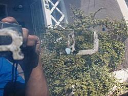 Cool Mod Gone Bad-p2280009.jpg