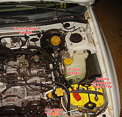 Newbie Amp Install-engine-install.jpg