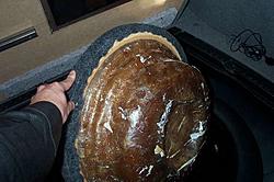 Whats in YOUR trunk?-subunder.jpg