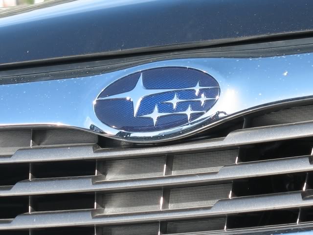 Name:  ScoobyPT_IMG_9232.jpg
Views: 8
Size:  55.9 KB