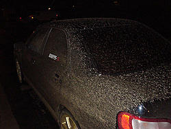 GOT DIRT? Anybody?-mud-suby.jpg