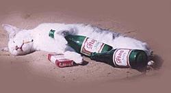 So it's X-Mas...-cat.jpg