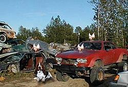 i hit a flying turkey!-impound_lot.jpg