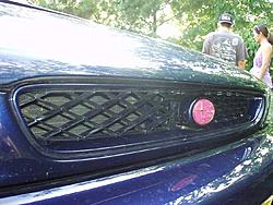 2000 RS Grill, mono color BRP, pink stars badge.-grill3.jpg