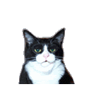 Name:  racist.gif
Views: 17
Size:  34.3 KB