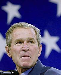 &quot;George W. Bush is a seagull president...&quot;-bushmean.jpg